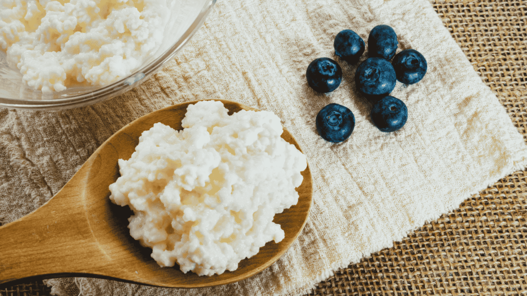 Kefir Grains